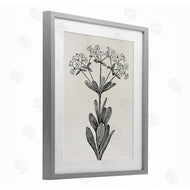 Karen Smith | Classic Cuts Botanicals