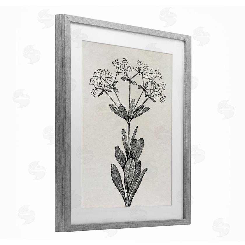 Karen Smith | Classic Cuts Botanicals