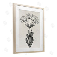 Karen Smith | Classic Cuts Botanicals