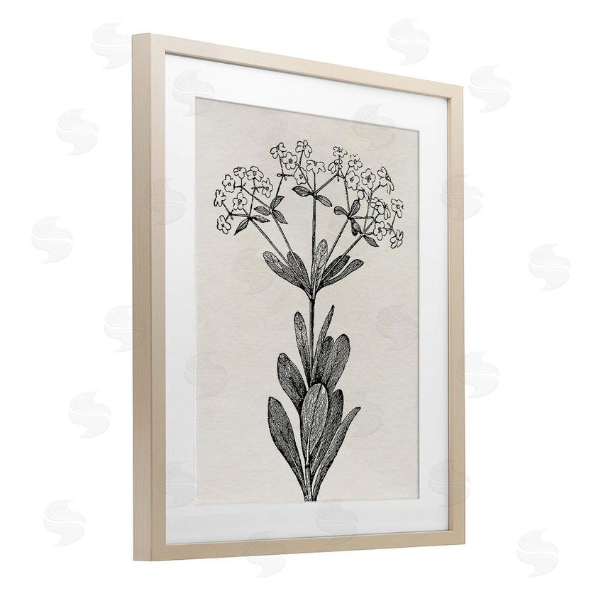 Karen Smith | Classic Cuts Botanicals