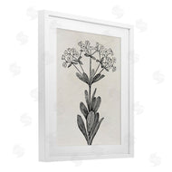 Karen Smith | Classic Cuts Botanicals
