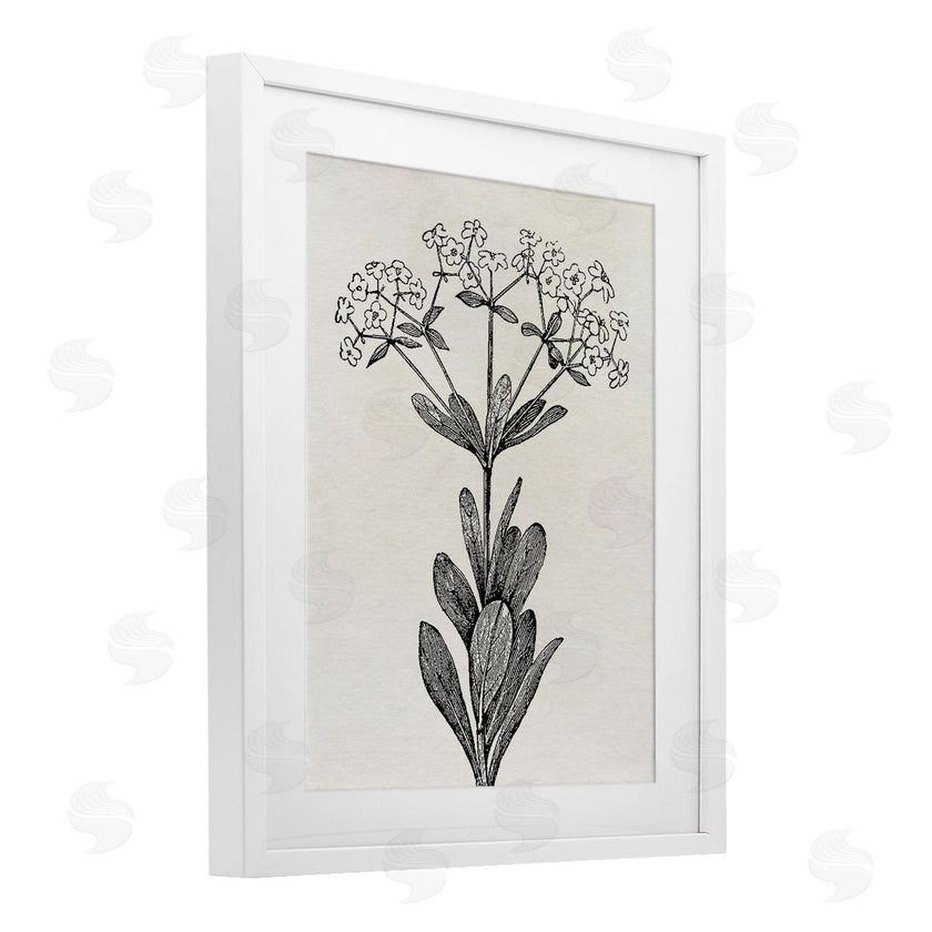 Karen Smith | Classic Cuts Botanicals