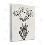 Karen Smith | Classic Cuts Botanicals