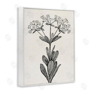 Karen Smith | Classic Cuts Botanicals