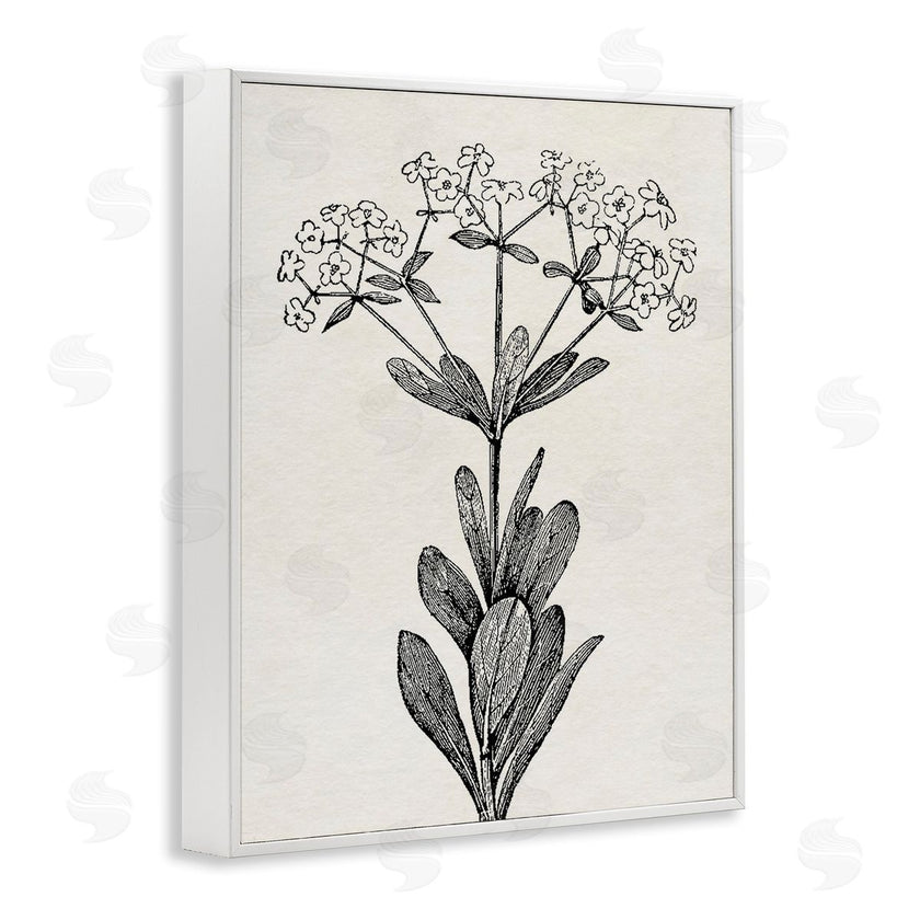Karen Smith | Classic Cuts Botanicals
