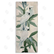 Amanda Tsoukanelis | Cocoatoo Roost Birds