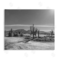 Norm Stelfox | Sunlit Cactus Valley