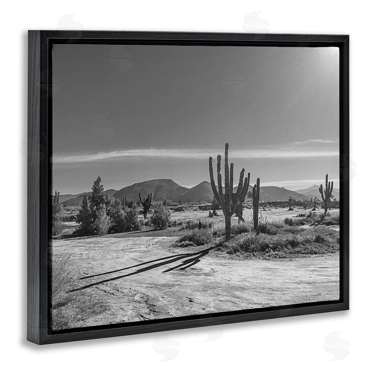 Norm Stelfox Sunlit Cactus Valley Canvas Wall Art Print