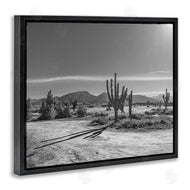 Norm Stelfox | Sunlit Cactus Valley