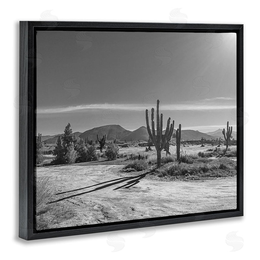 Norm Stelfox | Sunlit Cactus Valley