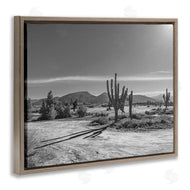 Norm Stelfox | Sunlit Cactus Valley