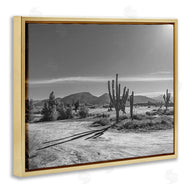 Norm Stelfox | Sunlit Cactus Valley