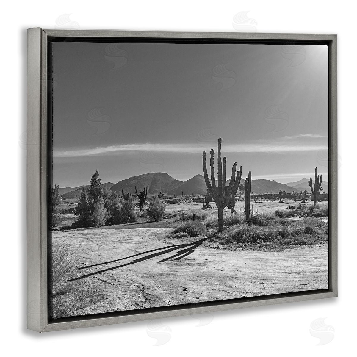 Norm Stelfox Sunlit Cactus Valley Canvas Wall Art Print