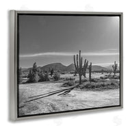 Norm Stelfox | Sunlit Cactus Valley