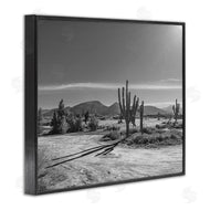 Norm Stelfox | Sunlit Cactus Valley
