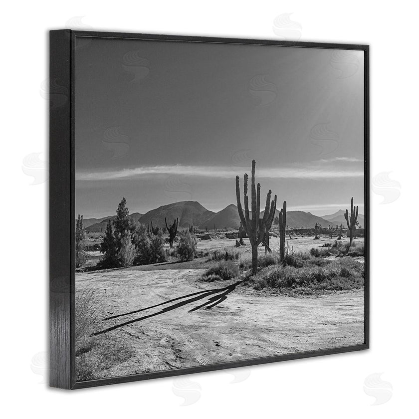 Norm Stelfox | Sunlit Cactus Valley
