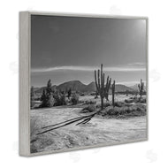 Norm Stelfox | Sunlit Cactus Valley