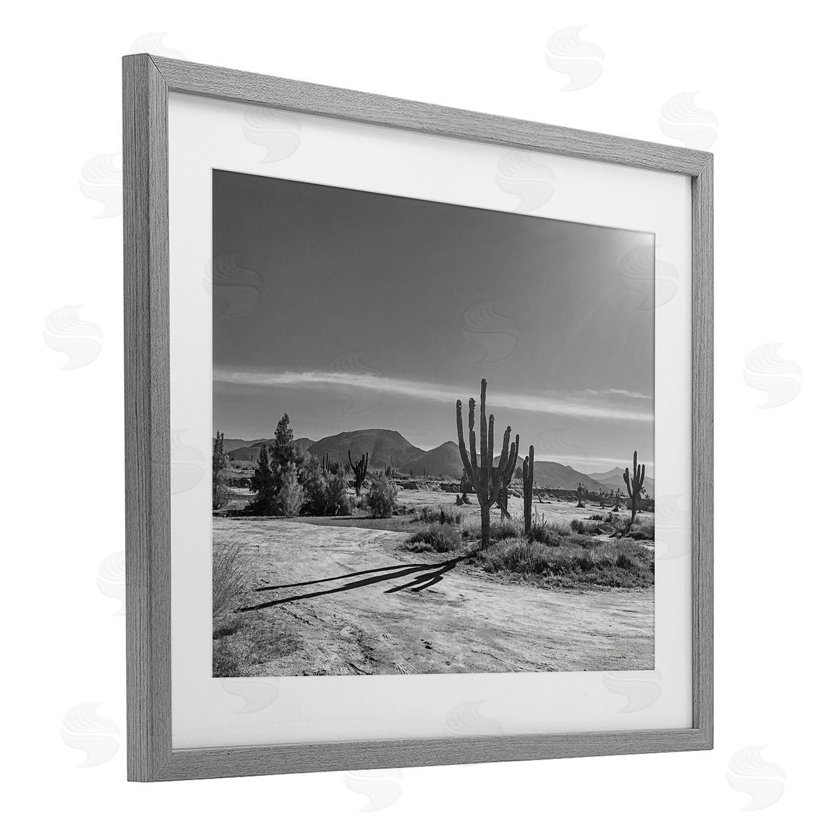 Norm Stelfox Sunlit Cactus Valley Canvas Wall Art Print