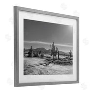 Norm Stelfox | Sunlit Cactus Valley