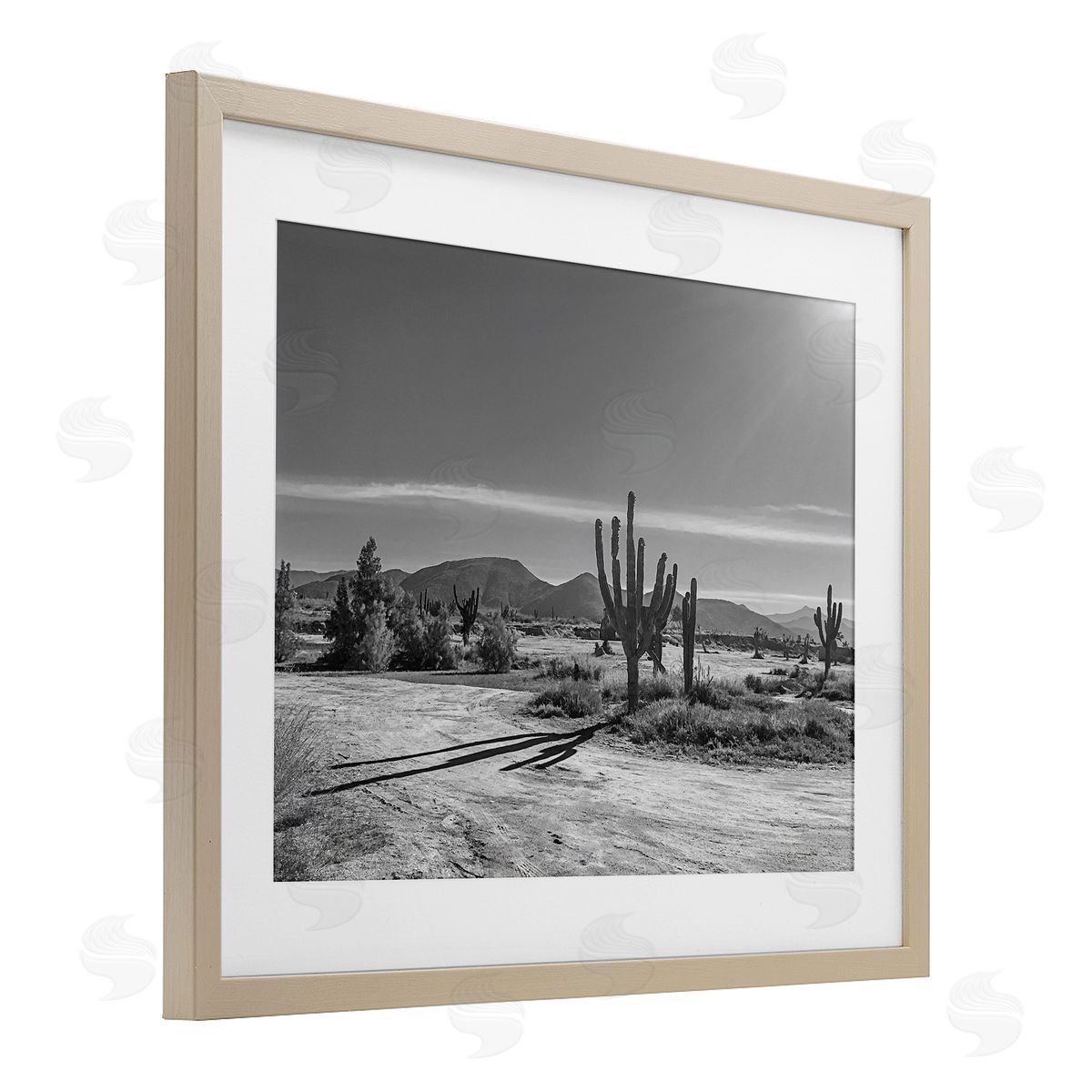 Norm Stelfox Sunlit Cactus Valley Canvas Wall Art Print