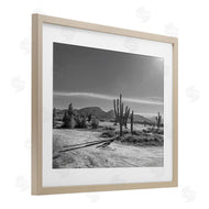 Norm Stelfox | Sunlit Cactus Valley