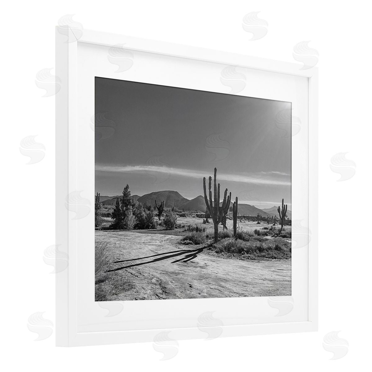 Norm Stelfox Sunlit Cactus Valley Canvas Wall Art Print