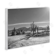 Norm Stelfox | Sunlit Cactus Valley