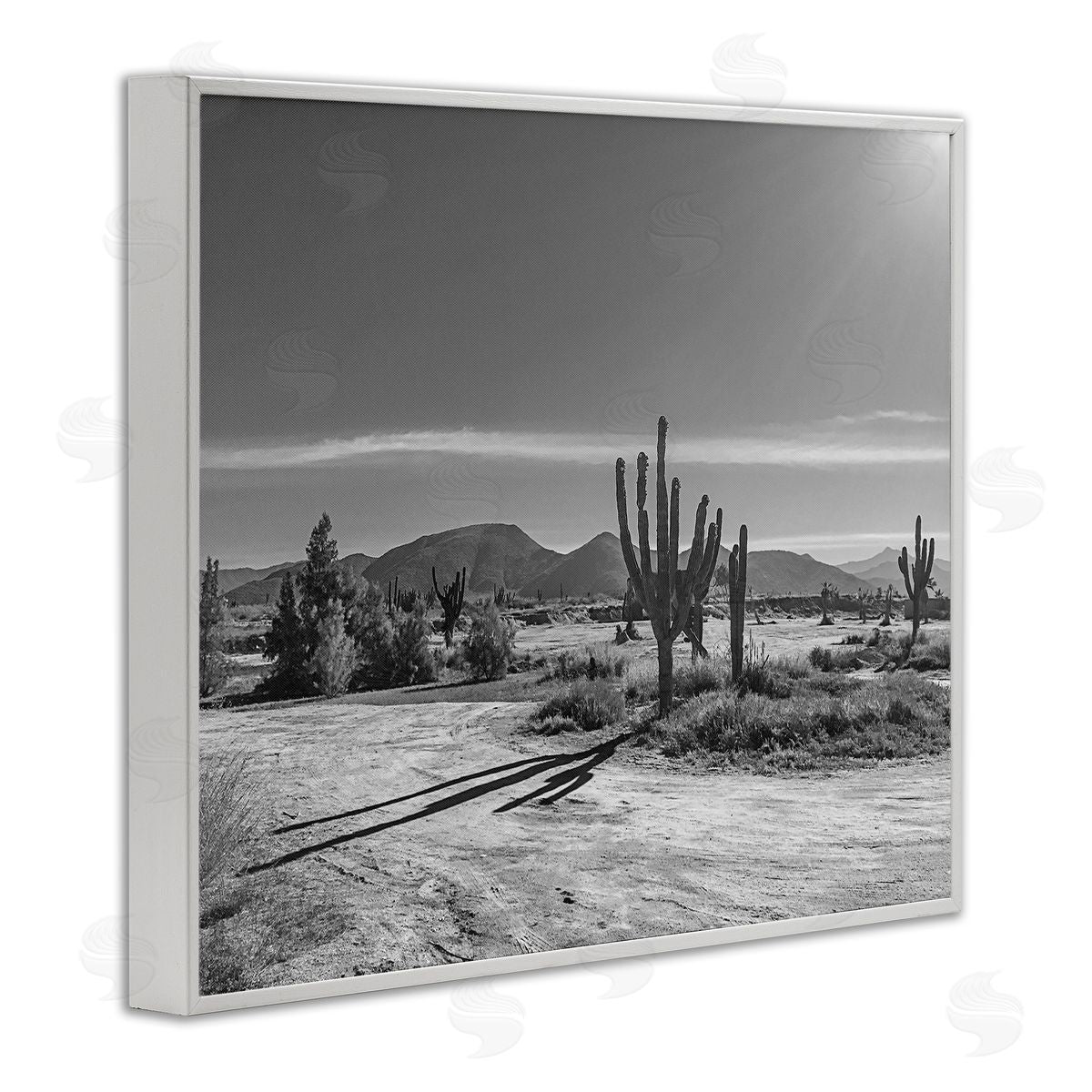 Norm Stelfox Sunlit Cactus Valley Canvas Wall Art Print
