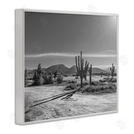 Norm Stelfox | Sunlit Cactus Valley