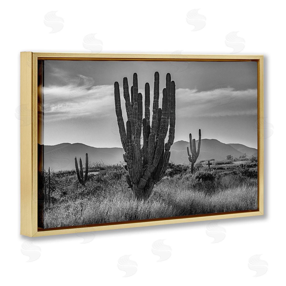 Norm Stelfox Cactus Sunset in Monochrome Canvas Wall Art Print