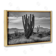 Norm Stelfox | Cactus Sunset in Monochrome