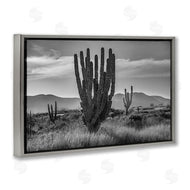 Norm Stelfox | Cactus Sunset in Monochrome