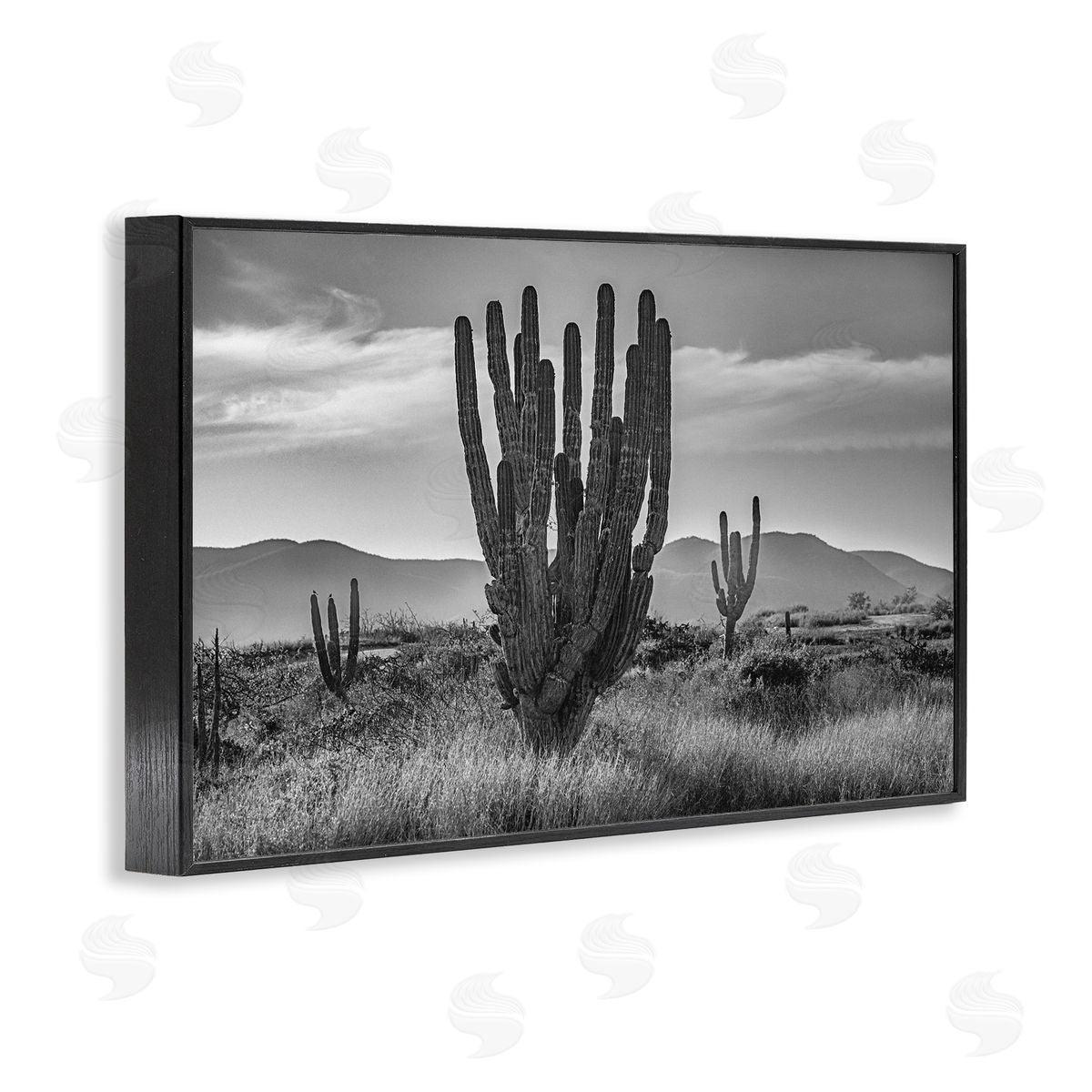 Norm Stelfox Cactus Sunset in Monochrome Canvas Wall Art Print