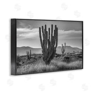 Norm Stelfox | Cactus Sunset in Monochrome