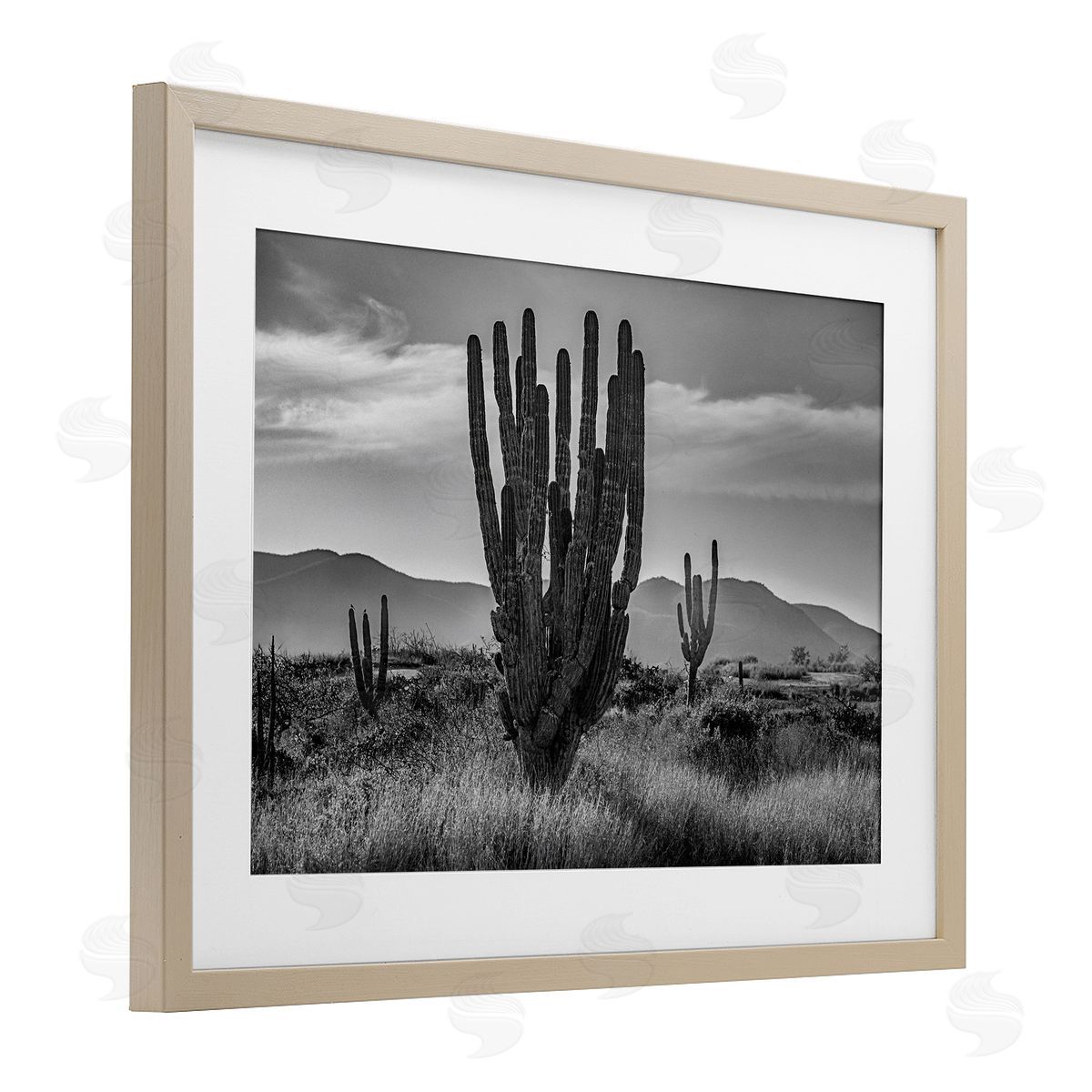 Norm Stelfox Cactus Sunset in Monochrome Canvas Wall Art Print