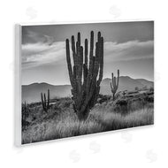 Norm Stelfox | Cactus Sunset in Monochrome