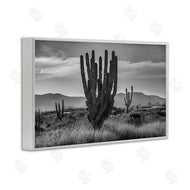 Norm Stelfox | Cactus Sunset in Monochrome