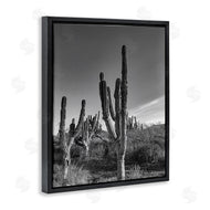 Norm Stelfox | Cactus Field & Vast Sky