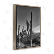 Norm Stelfox | Cactus Field & Vast Sky