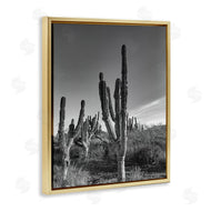 Norm Stelfox | Cactus Field & Vast Sky