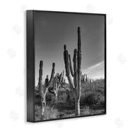 Norm Stelfox | Cactus Field & Vast Sky