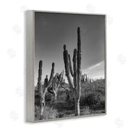 Norm Stelfox | Cactus Field & Vast Sky