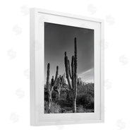 Norm Stelfox | Cactus Field & Vast Sky