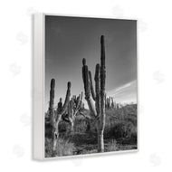 Norm Stelfox | Cactus Field & Vast Sky