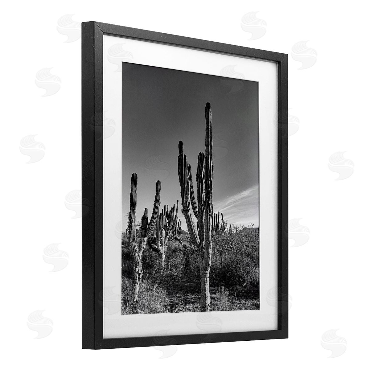 Norm Stelfox Sunlit Succulents Canyon Cacti Canvas Wall Art Print
