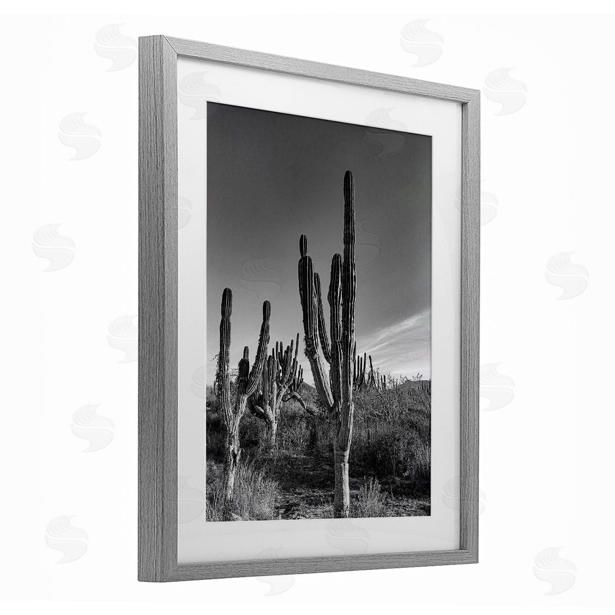 Norm Stelfox Sunlit Succulents Canyon Cacti Canvas Wall Art Print