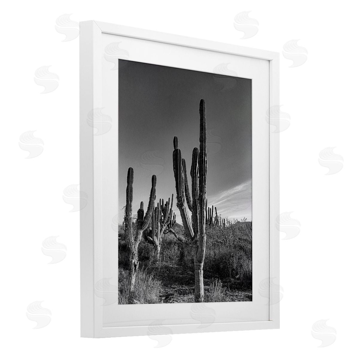 Norm Stelfox Sunlit Succulents Canyon Cacti Canvas Wall Art Print