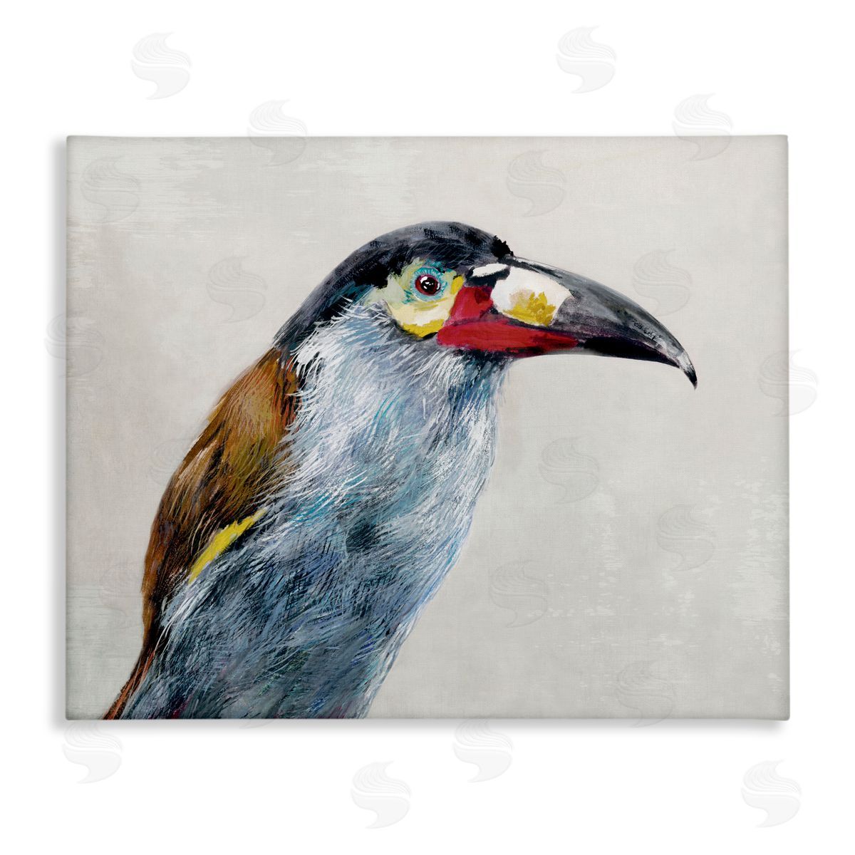 Jacob Q Black Billed Mountain Toucan Canvas Wall Art Print