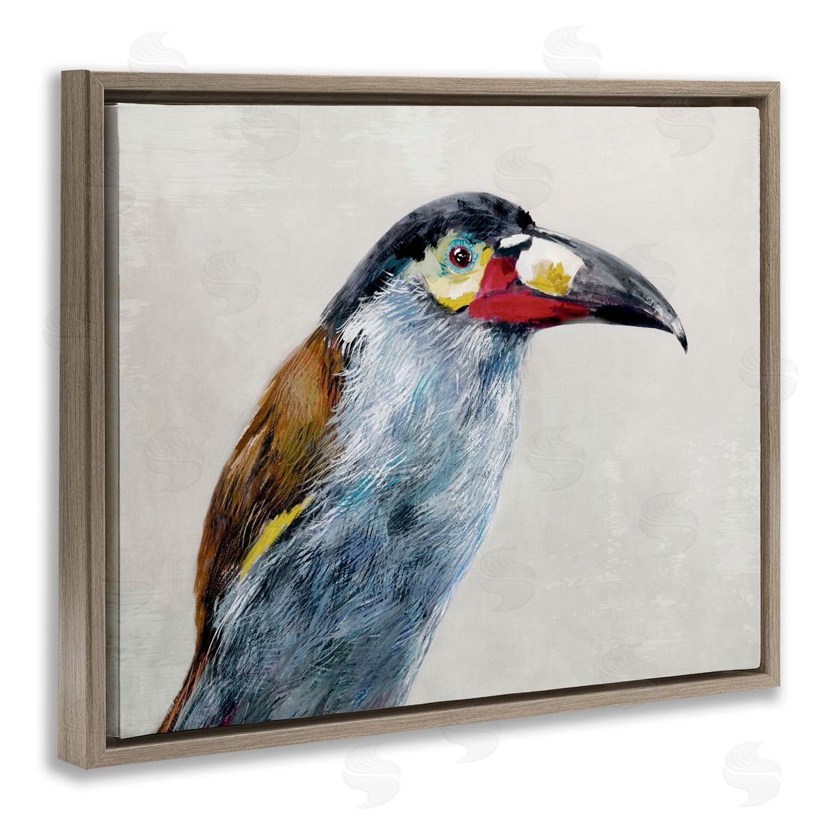 Jacob Q Black Billed Mountain Toucan Canvas Wall Art Print