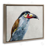 Jacob Q | Black Billed Mountain Toucan
